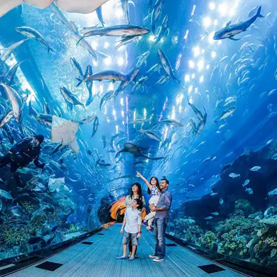 Dubai Aquarium & Underwater Zoo 15% off