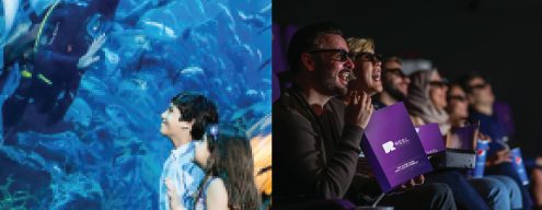 Penguin Cove & Nursery Experience + Reel Cinemas All Experiences