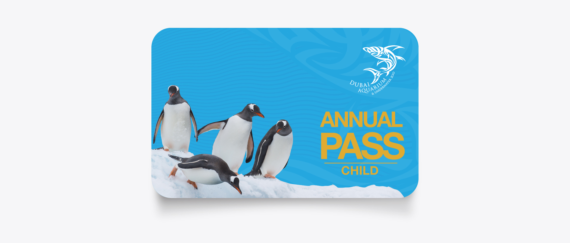 Annual Pass - Child