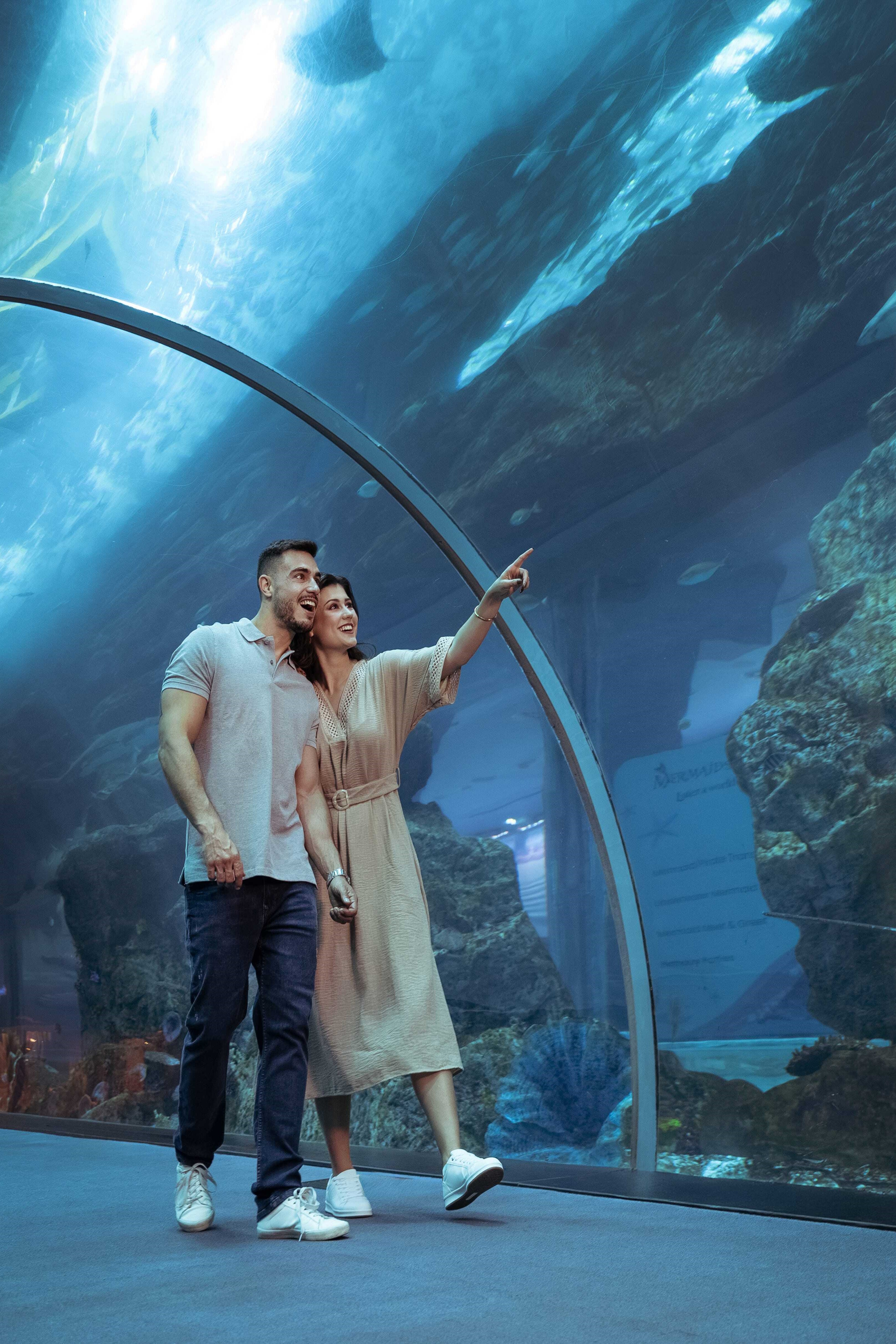Dubai Aquarium & Underwater Zoo
