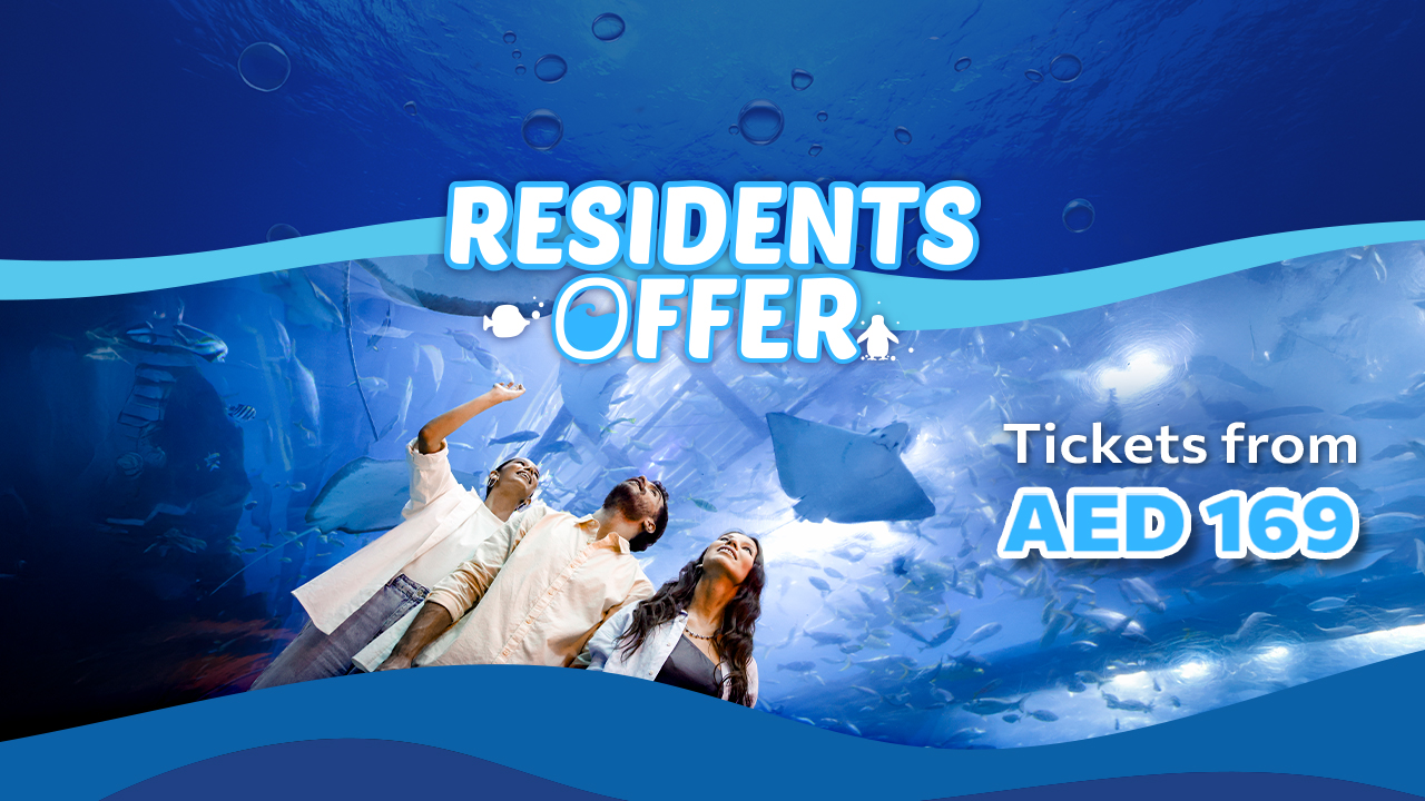 UAE Residents Offer
