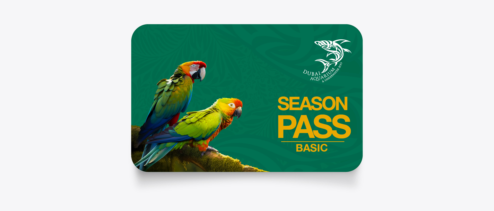 Basic Season Pass