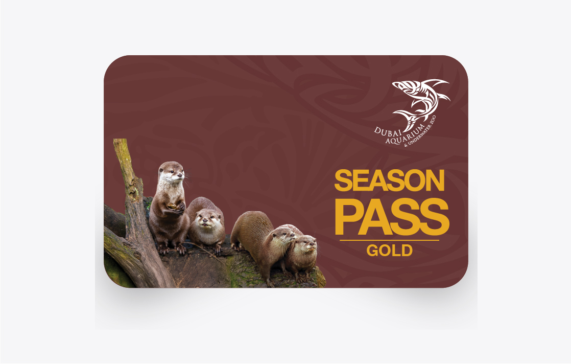 Gold Season Pass